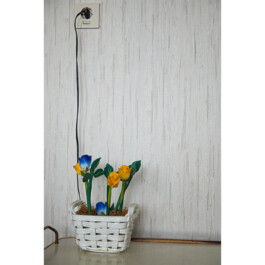  Nico Wallfarth — Photography