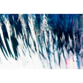  Nico Wallfarth — Photography