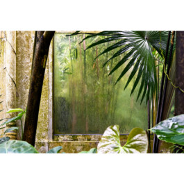  Nico Wallfarth — Photography