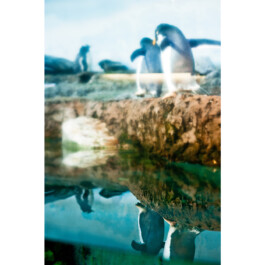  Nico Wallfarth — Photography