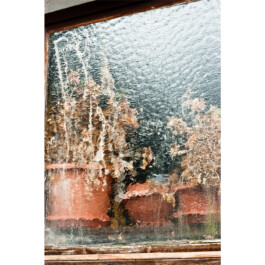  Nico Wallfarth — Photography