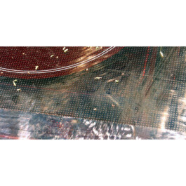  Nico Wallfarth — Photography