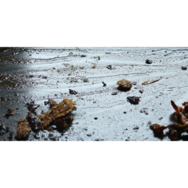  Nico Wallfarth — Photography