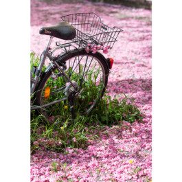  Nico Wallfarth — Photography