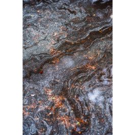  Nico Wallfarth — Photography