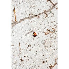  Nico Wallfarth — Photography