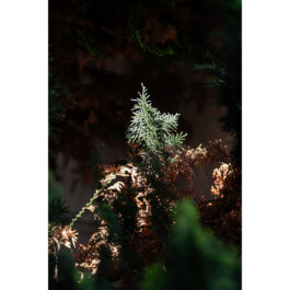 Nico Wallfarth — Photography
