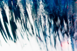  Nico Wallfarth — Photography