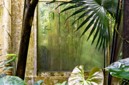  Nico Wallfarth — Photography