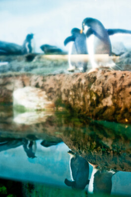  Nico Wallfarth — Photography