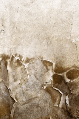  Nico Wallfarth — Photography