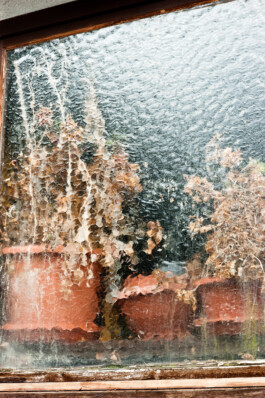  Nico Wallfarth — Photography