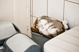  Nico Wallfarth — Photography