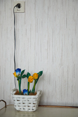  Nico Wallfarth — Photography