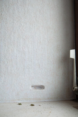  Nico Wallfarth — Photography