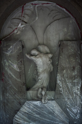  Nico Wallfarth — Photography