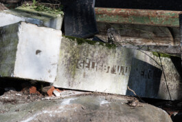  Nico Wallfarth — Photography