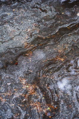  Nico Wallfarth — Photography