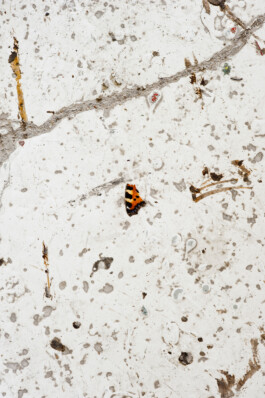  Nico Wallfarth — Photography