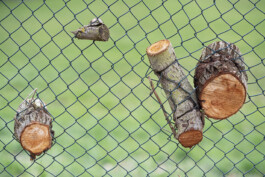  Nico Wallfarth — Photography