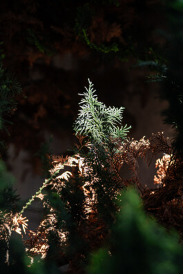  Nico Wallfarth — Photography