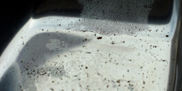  Nico Wallfarth — Photography