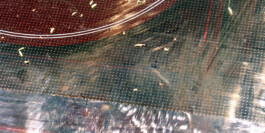  Nico Wallfarth — Photography