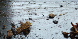  Nico Wallfarth — Photography