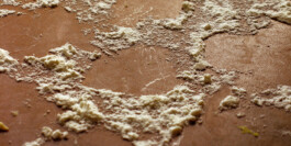  Nico Wallfarth — Photography