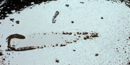  Nico Wallfarth — Photography