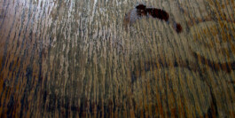  Nico Wallfarth — Photography