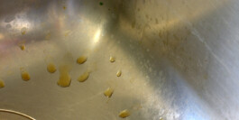  Nico Wallfarth — Photography